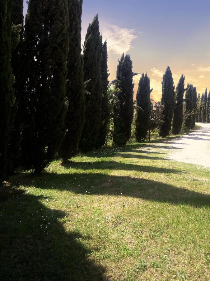 Villa Podere Cartaio Bio Estate Pool Airc San Rocco a Pilli Exteriér fotografie