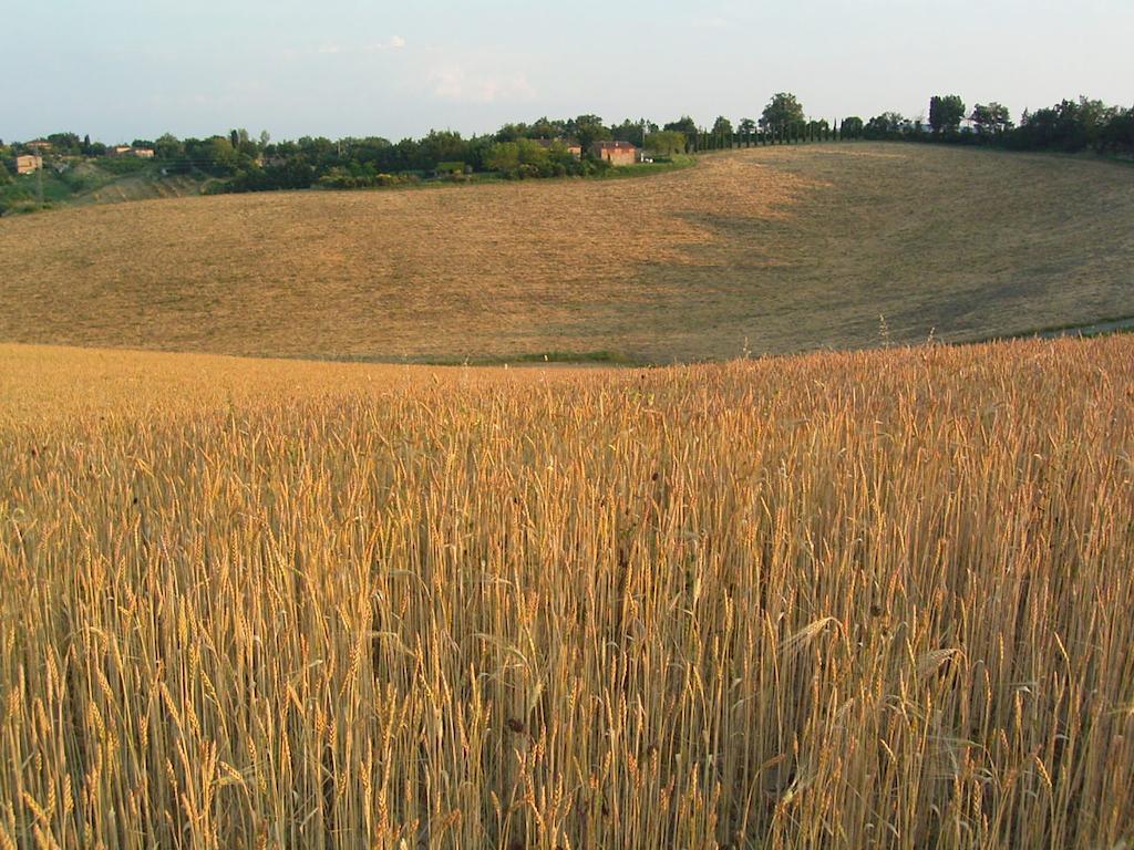 Villa Podere Cartaio Bio Estate Pool Airc San Rocco a Pilli Pokoj fotografie